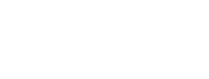 culligan logo